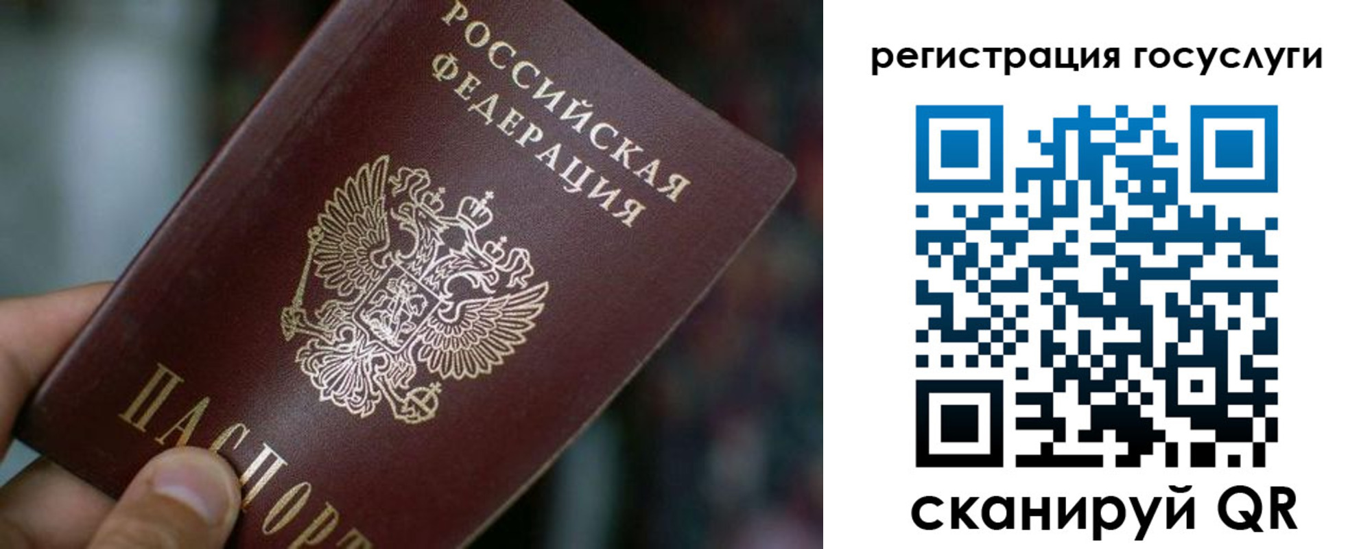 временная прописка в Химках